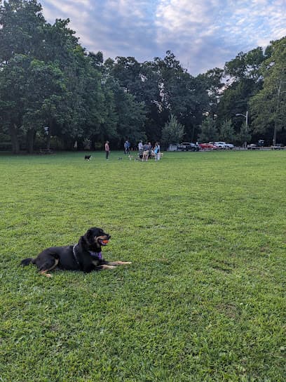 Scout Field