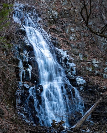 Roaring Brook Park