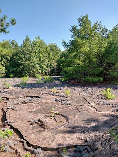 Butts Park Trails