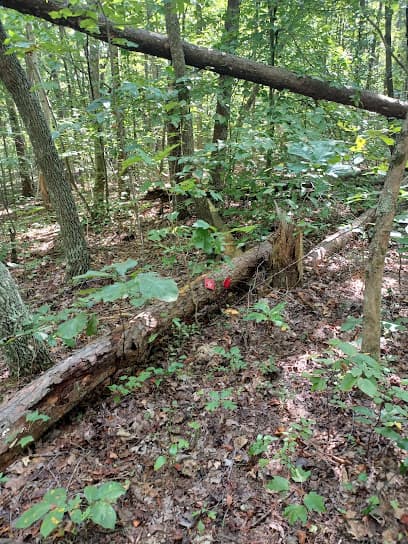 Nelsons acres