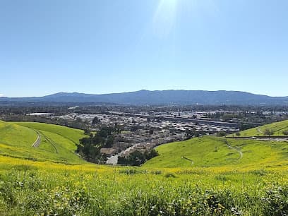 Vieira Park Outlook