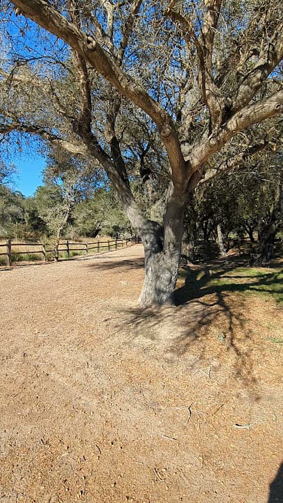 Pioneer Park