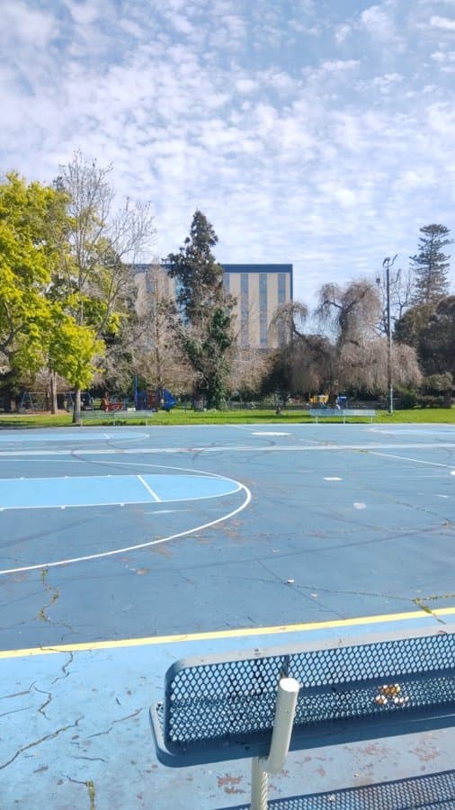 Mosswood Park